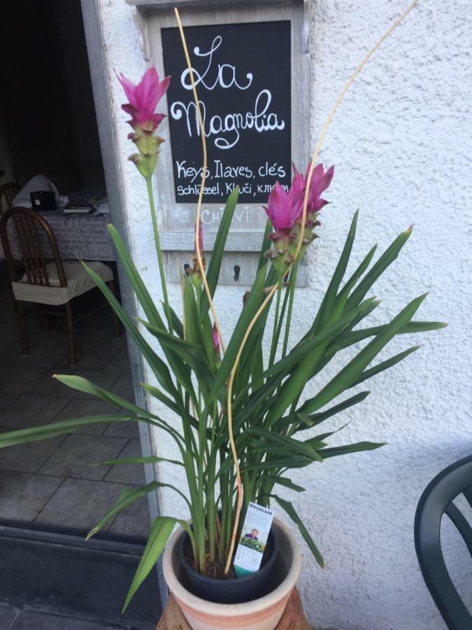 Апартаменти La Magnolia Рикко-дель-Гольфо-ді-Спеція Екстер'єр фото