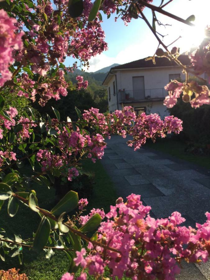Апартаменти La Magnolia Рикко-дель-Гольфо-ді-Спеція Екстер'єр фото